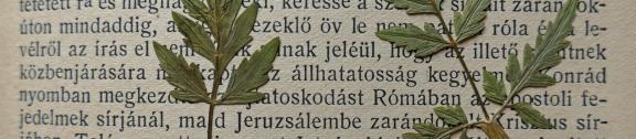 Gyertyadíszek